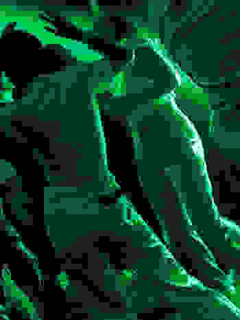 Placeholder for Ward Borremans nachtfeest 02 01