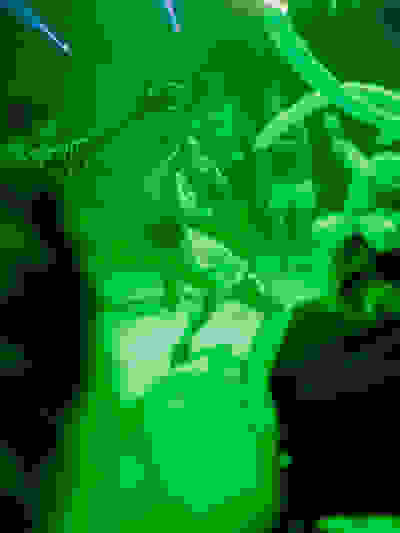 Placeholder for 20230917 KUNSTNACHT JESSEWENSING 132