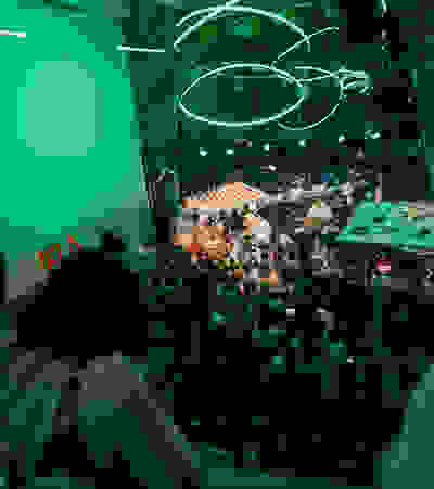 Placeholder for 2025 09 20 Kunstnacht Bram Versteeg WEB 16