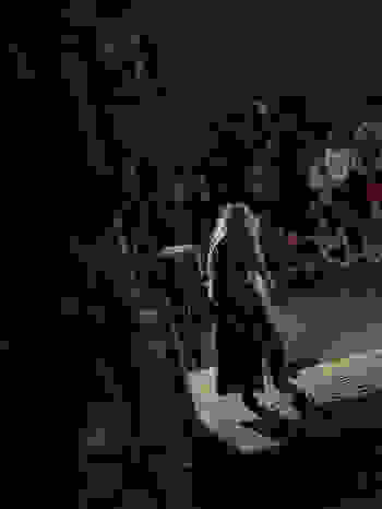 Placeholder for 2025 09 20 Kunstnacht Bram Versteeg WEB 5