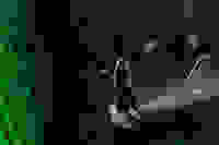 Placeholder for 2025 09 20 Kunstnacht Bram Versteeg WEB 5
