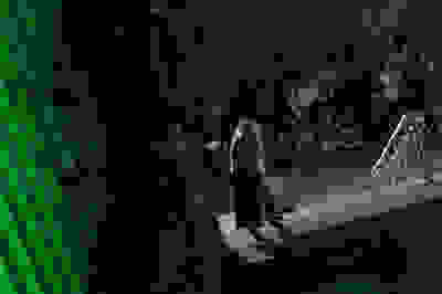 Placeholder for 2025 09 20 Kunstnacht Bram Versteeg WEB 5