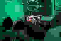 Placeholder for 2025 09 20 Kunstnacht Bram Versteeg WEB 16