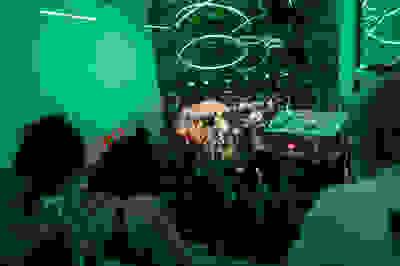 Placeholder for 2025 09 20 Kunstnacht Bram Versteeg WEB 16