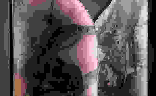 Placeholder for Niko Démoed Lightbox 1