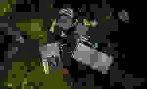 Placeholder for Ward Borremans Kunstnacht 02 1
