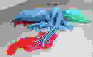 Placeholder for IMG 1024 1