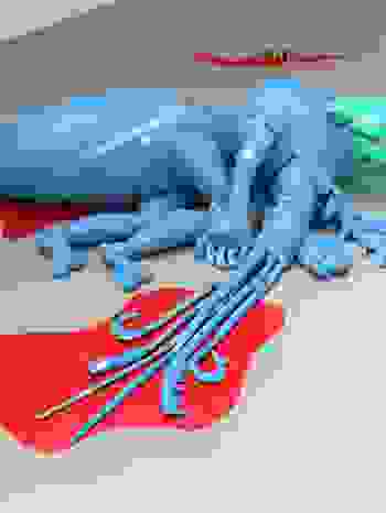 Placeholder for IMG 1024 1