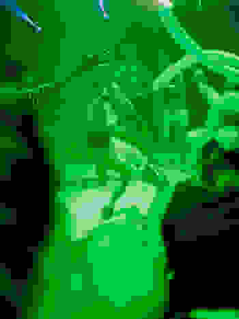 Placeholder for 20230917 KUNSTNACHT JESSEWENSING 132