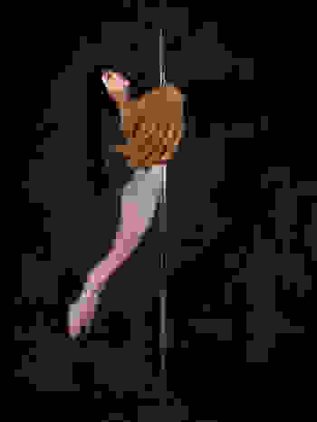 Placeholder for ZE4 A6187