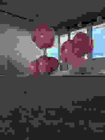 Placeholder for Whats App Image 2025 09 23 at 19 43 04 2