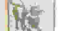 Placeholder for Tumblr 185347e186fed2eef74f079a0f4ed03f 6da65bae 1280