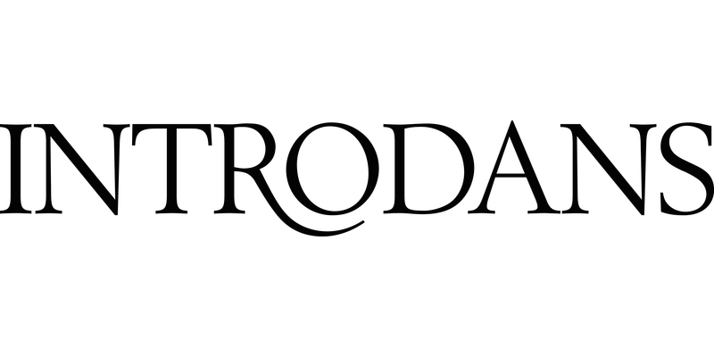 Introdans logo transparant d3505992adebc0a8c9cda7b5d2fce80e