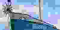 Placeholder for Zeester