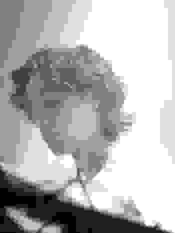 Placeholder for Jxgo